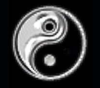 YingYang_E_copy