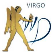 Virgo – The Virgin | Dr Nikki