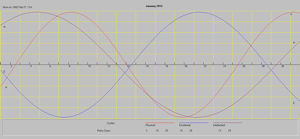 Biorythms Chart