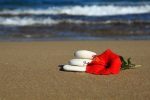 balance-beach-blue-coastline-hibiscus-ocean-peace-1